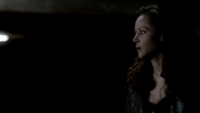 TVD317-087-Abby