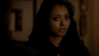 TVD216-144-Bonnie