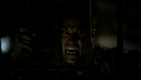 TVD211-133-Tyler.png (1.08 MB)