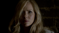 TVD220-101-Caroline