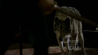 Jules coming for Damon.