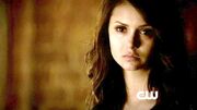 Elenagilbert4x20