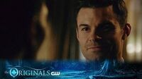 The Originals Bag of Cobras Trailer The CW