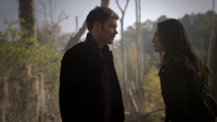 TO212-058-Klaus-Hayley