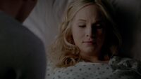 713-040-Stefan-Caroline