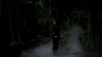 TVD101-130-Vicki