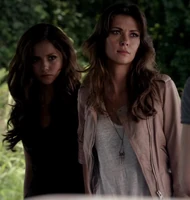 Katherine-and-bebe-v-neck-lace-top-gallery.png (230 KB)