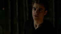 TVD113-136-Stefan