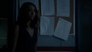 7X06-117-Bonnie