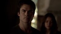 Delena511-9