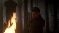 TVD113-117-Stefan