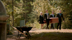 805-027-Stefan-Caroline-Matt-Alaric~Tyler