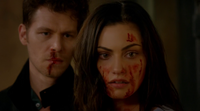 TO302-094-Klaus-Hayley