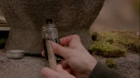 Freya's blood used for the immortality serum
