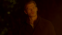 TVD315-132-Klaus