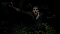 TVD206-093-Stefan-Vervain