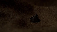 TVD319-113-Gilbert Ring.png (2.56 MB)