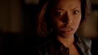 6X16-70-Bonnie