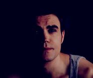 Stefan 5x7..