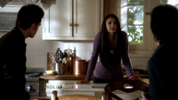 TVD314-014~Stefan-Elena~Damon