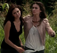 Katherine-pierce-and-bebe-v-neck-lace-top-gallery (1).png (251 KB)