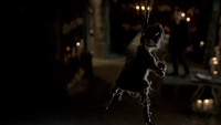 TO206-132-Poppet~Klaus.png (1.19 MB)