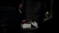 TVD311-064-Birthday Party-Elena