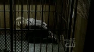 Caroline in a cage.