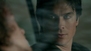 718-005~Stefan-Damon