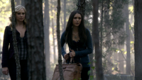 TVD209-027-Caroline-Elena