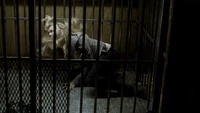 TVD213-088-Caroline~Brady.png (1.96 MB)