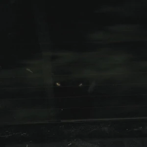 Werewolf The Vampire Diaries Wiki Fandom Ngisi stok tiap pagi.tingkat pendinginan disesuaikan agar susu tetap segar.ingat susu segar organik hanya mampu bertahan 2 hari loh.😋. werewolf the vampire diaries wiki