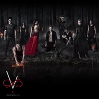 TVDForever-Damon-Stefan-Katherine-Elena-Matt-Bonnie-Jeremy-Caroline-Tyler-S5.jpg (184 KB)