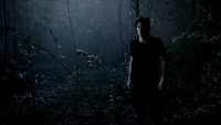 TVD302-143-Damon