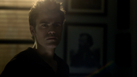 TVD113-045-Stefan