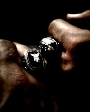 382px-Ring.jpg (29 KB)