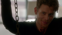 TO318-130-Klaus