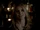 Camille O'Connell/Gallery