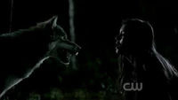 Werewolf stares down Elena Gilbert