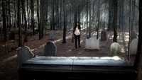 TVD312-005-Dream-Bonnie-Coffin-Mystic Falls Cemetery.png (2.53 MB)
