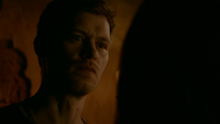 TO513-147-Klaus