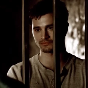 Discuss Everything About The Vampire Diaries Wiki Fandom