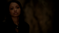 TVD313-048-Bonnie