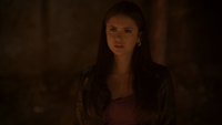 TVD221-120-Elena