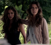 Katherine-pierce-bebe-v-neck-lace-top-gallery.png (239 KB)