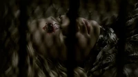 TVD213-077-Caroline.png (2.34 MB)