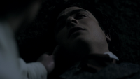 TVD120-008-Flashback-Memory~Stefan-Damon