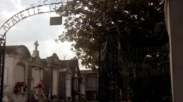 Normal TheOriginals122-0480