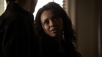 TVD217-030~Damon-Bonnie