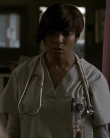 Nurse/Nurse Haynes by Terri James